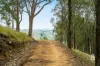 89 Manresa Park Road, Glendon Brook, NSW 2330-Image