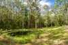 897 Wattley Hill Road, Bungwahl, NSW 2423-Image