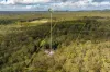897 Wattley Hill Road, Bungwahl, NSW 2423-Image