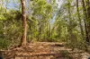 897 Wattley Hill Road, Bungwahl, NSW 2423-Image