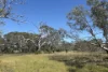 9, Flinders Highway, Wangary, SA 5607