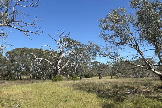 9, Flinders Highway, Wangary, SA 5607