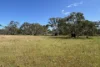 9, Flinders Highway, Wangary, SA 5607-Image