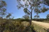 9, Flinders Highway, Wangary, SA 5607-Image
