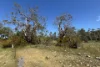 9, Flinders Highway, Wangary, SA 5607-Image
