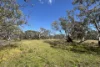 9, Flinders Highway, Wangary, SA 5607-Image
