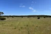 9, Flinders Highway, Wangary, SA 5607-Image