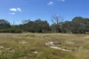 9, Flinders Highway, Wangary, SA 5607-Image