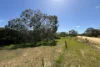 9, Flinders Highway, Wangary, SA 5607-Image