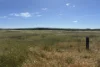 9, Flinders Highway, Wangary, SA 5607-Image