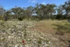 9, Flinders Highway, Wangary, SA 5607-Image