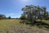 9, Flinders Highway, Wangary, SA 5607-Image