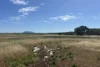 9, Flinders Highway, Wangary, SA 5607-Image