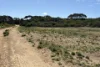 9, Flinders Highway, Wangary, SA 5607-Image