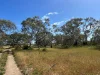 9, Flinders Highway, Wangary, SA 5607-Image