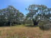 9, Flinders Highway, Wangary, SA 5607-Image