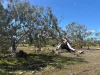 9, Flinders Highway, Wangary, SA 5607-Image