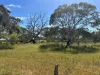 9, Flinders Highway, Wangary, SA 5607-Image