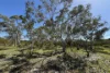 9, Flinders Highway, Wangary, SA 5607-Image