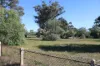 9, Wedderburn-Boort Road, Borung, Vic 3518