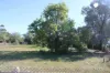 9, Wedderburn-Boort Road, Borung, Vic 3518-Image