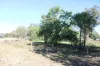 9, Wedderburn-Boort Road, Borung, Vic 3518-Image