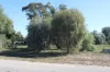 9, Wedderburn-Boort Road, Borung, Vic 3518-Image