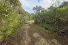 90 Adams Road, Port Welshpool, Vic 3965-Image