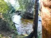 90 Eton Road, Mathinna, Tas 7214-Image
