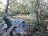 90 Eton Road, Mathinna, Tas 7214-Image