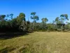 90 Eton Road, Mathinna, Tas 7214-Image