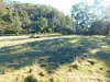 90 Eton Road, Mathinna, Tas 7214-Image