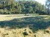 90 Eton Road, Mathinna, Tas 7214-Image