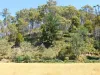90 Eton Road, Mathinna, Tas 7214-Image