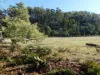 90 Eton Road, Mathinna, Tas 7214-Image