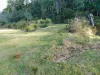 90 Eton Road, Mathinna, Tas 7214-Image