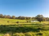 90 Sungarrin Road, HILLDENE VIC 3660-Image
