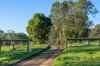 90 Sungarrin Road, HILLDENE VIC 3660-Image