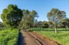 90 Sungarrin Road, HILLDENE VIC 3660-Image