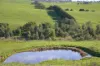900 Mount Lyall Road, Nyora, Vic 3987-Image
