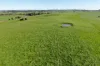 900 Mount Lyall Road, Nyora, Vic 3987-Image