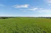 900 Mount Lyall Road, Nyora, Vic 3987-Image