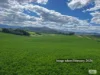 910 West Kameruka Road, Morans Crossing, NSW 2550-Image