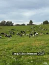 910 West Kameruka Road, Morans Crossing, NSW 2550-Image