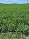 910 West Kameruka Road, Morans Crossing, NSW 2550-Image