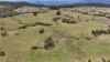 911 Dalrymple Rd, Dalrymple Heights, Qld 4757-Image
