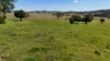 911 Dalrymple Rd, Dalrymple Heights, Qld 4757-Image