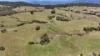 911 Dalrymple Road, Dalrymple Heights QLD 4757-Image