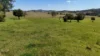 911 Dalrymple Road, Dalrymple Heights QLD 4757-Image