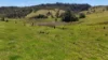 911 Dalrymple Road, Dalrymple Heights QLD 4757-Image